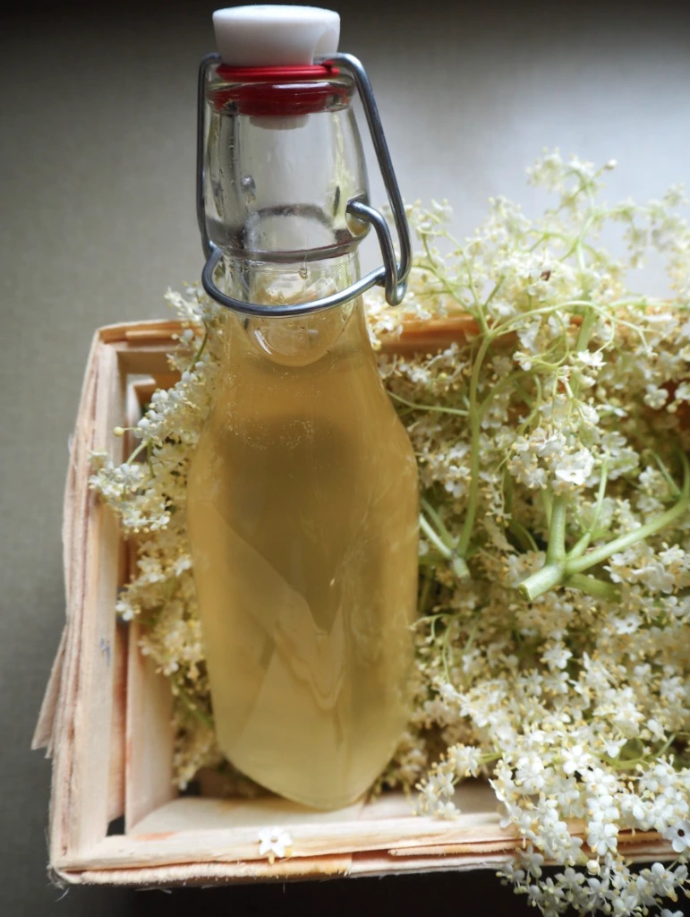 Holundersirup